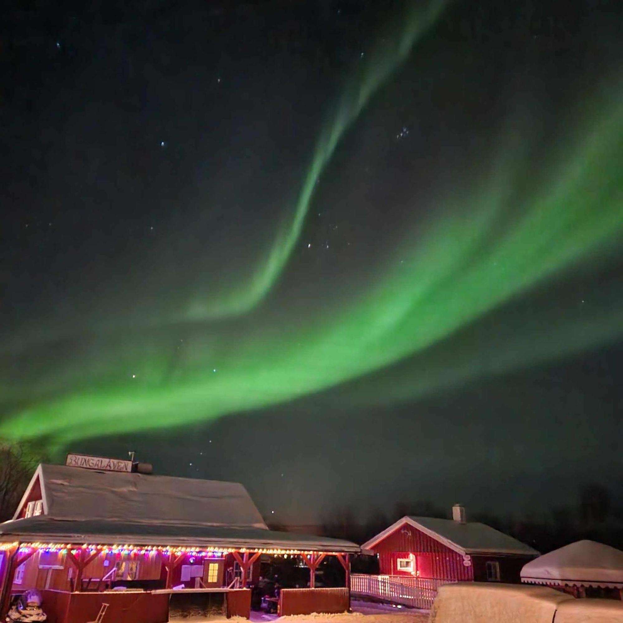 Bungalaven Lodge As Børselv Eksteriør billede